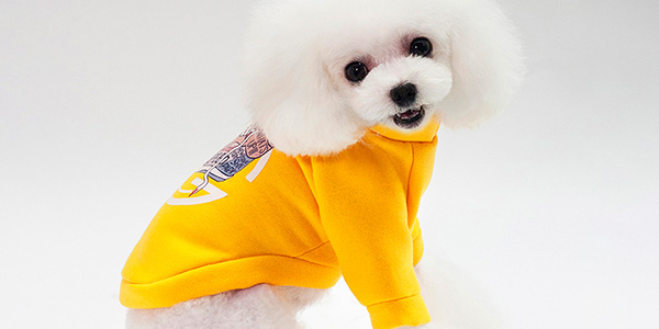 教您如何挑選寵物衣服_嘉美樂